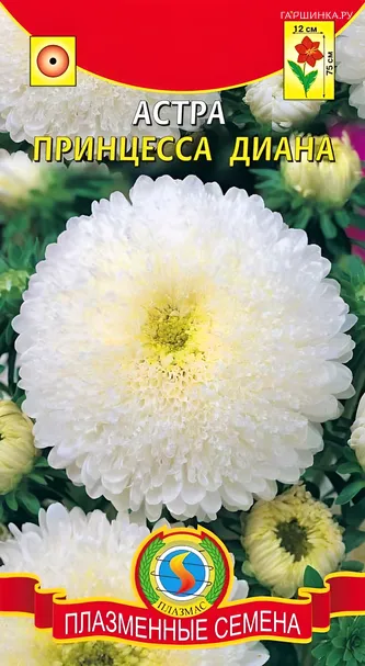 Астра Принцесса Диана 0,3г, Плазменные семена