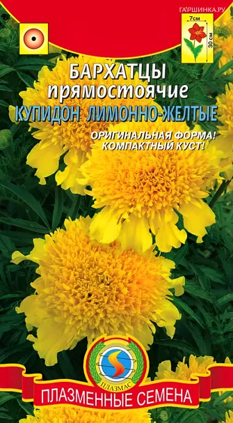 Бархатцы Купидон Лимонно-желтый прямостоячи 20шт, Плазменные семена
