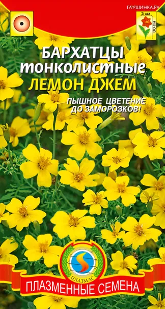 Бархатцы Лемон Джем тонколистные 50шт, Плазменные семена