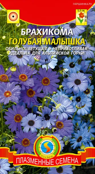 Брахикома Голубая малышка, 0,05 гр, Плазменные семена