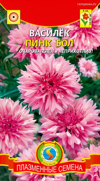 Василек Пинк Бол 0,5 г, Плазменные семена