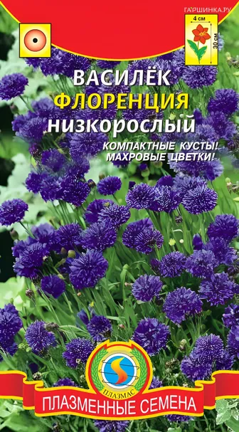 Василек Флоренция низкорослый 0,2г, Плазменные семена