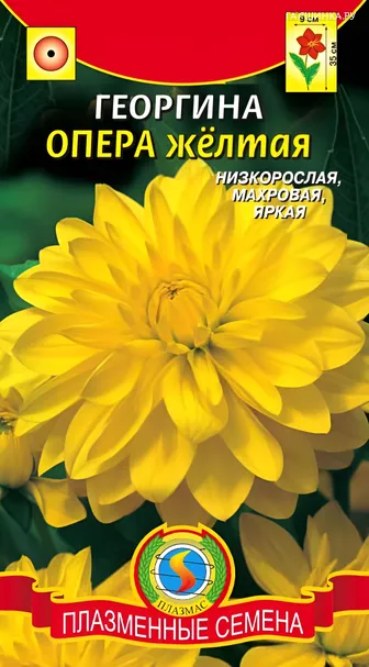 Георгина Опера желтая, 10 шт, Плазменные семена