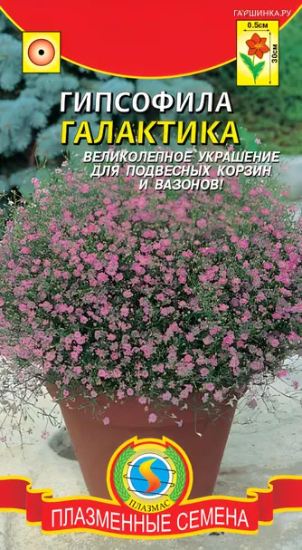 Гипсофила Галактика 0,005г, Плазменные семена