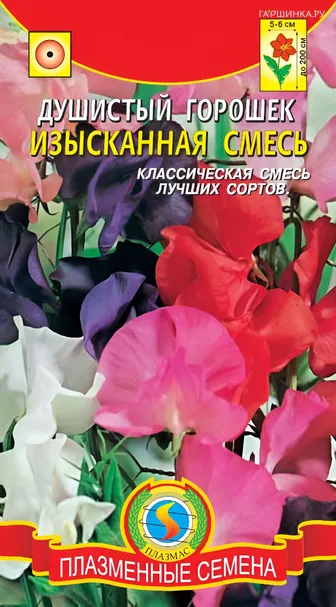 Горошек душистый Изысканная смесь 12шт, Плазменные семена