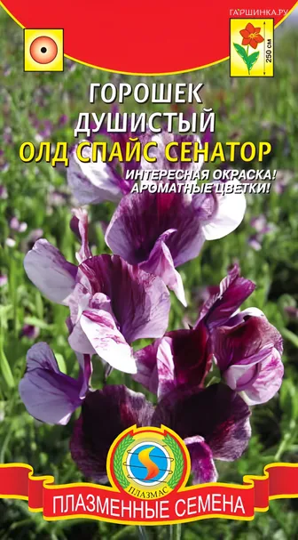 Горошек душистый Олд Спайс Сенатор 0,4 г, Плазменные семена