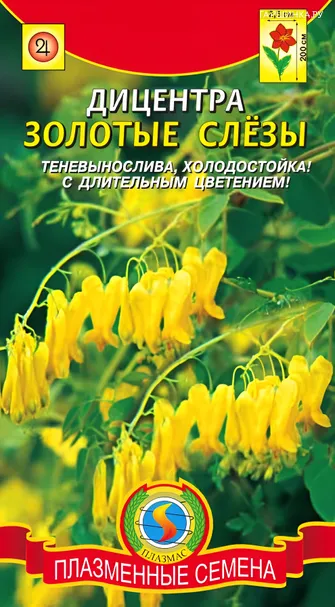 Дицентра Золотые слёзы 3шт, Плазменные семена