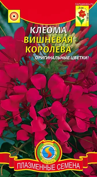 Клеома Вишневая Королева 0,2г, Плазменные семена