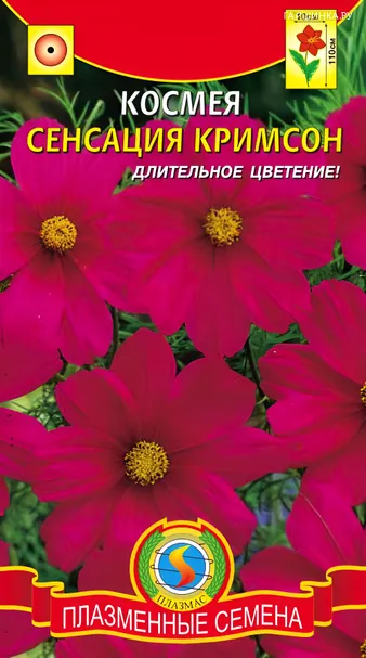 Космея Сенсация Кримсон, 0,3 гр, Плазменные семена