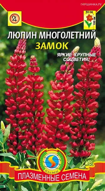 Люпин многолетний Замок  0,3г, Плазменные семена