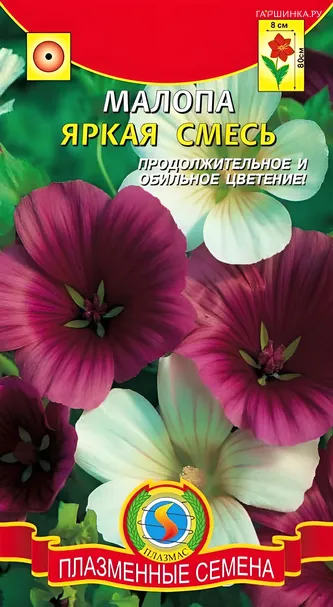 Малопа яркая смесь 0,3г, Плазменные семена