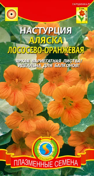 Настурция Аляска лососево-оранжевая 7шт, Плазменные семена