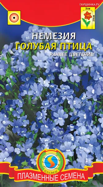 Немезия Голубая птица 0,015г, Плазменные семена
