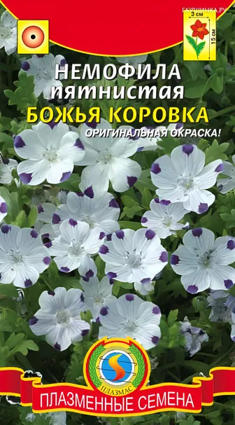 Немофила пятнистая Божья коровка 0,2г, Плазменные семена