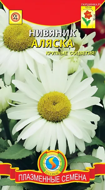 Нивяник Аляска 0,2г, Плазменные семена