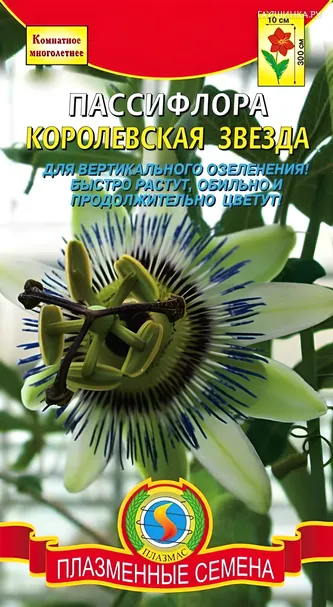 Пассифлора Королевская звезда 5шт, Плазменные семена