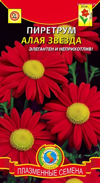 Пиретрум Алая звезда 0,1 г, Плазменные семена