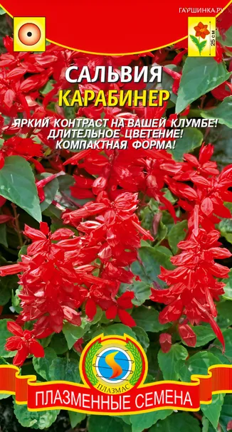 Сальвия Карабинер 0,08, Плазменные семена