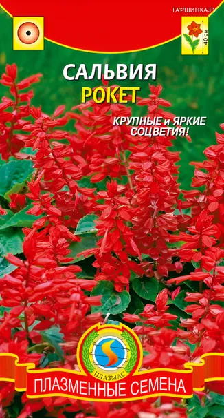 Сальвия Рокет 0,08, Плазменные семена
