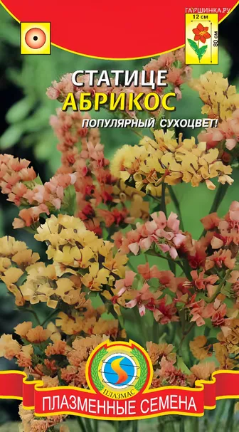 Статице Абрикос 0,05г, Плазменные семена