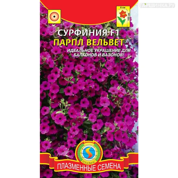 Сурфиния Парпл Вельвет F1  5 драже в пробирке, Плазменные семена
