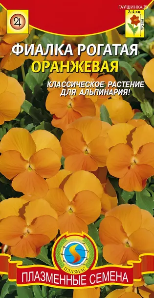 Фиалка рогатая Оранжевая, Плазменные семена