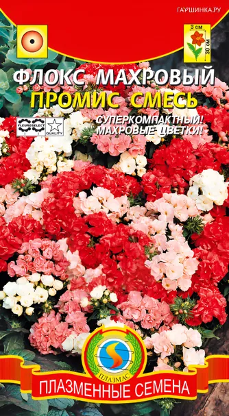 Флокс Промис Смесь махровый 9 шт, Плазменные семена