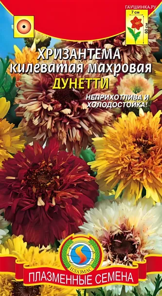 Хризантема Дунетти килеватая махровая 0,2 г, Плазменные семена