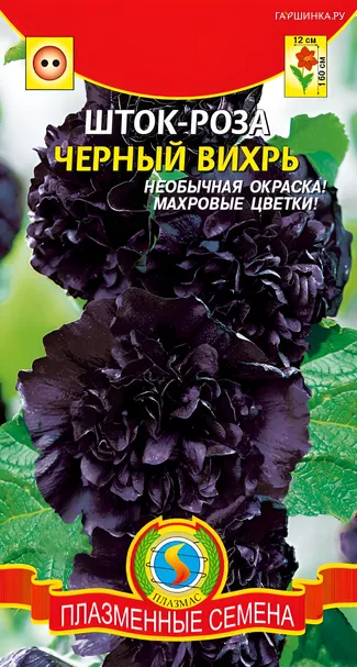Шток-роза Черный вихрь 0,1, Плазменные семена