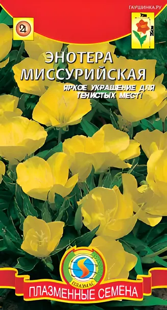 Энотера Миссурийская  0,14г, Плазменые семена