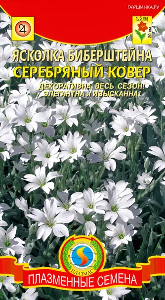 Ясколка Биберштейна, Серебряный ковёр 0,1г, Плазменные семена