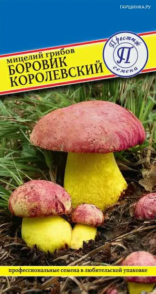 Боровик королевский (Мицелий грибов), 60 мл, Семена Престиж