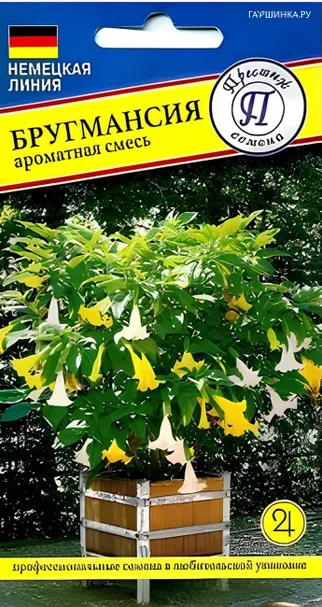 Бругмансия Ароматная смесь (РС-1) 2 шт, Семена Престиж