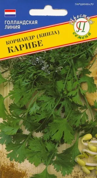 Кинза (Кориандр) Карибе овощной (РС-1) 1 г, Семена Престиж