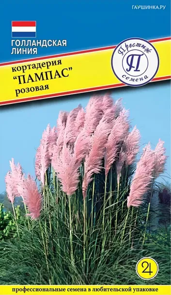 Кортадерия Пампас Розовая (РС-1) 0,05 г, Семена Престиж