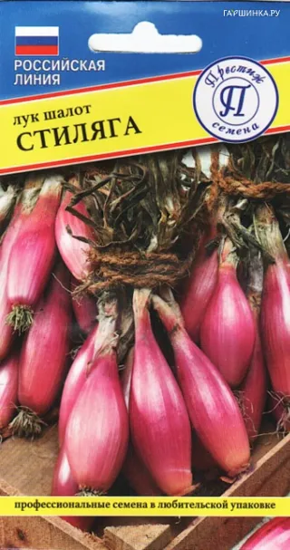 Лук шалот Стиляга (РС-1) 0,5 г, Семена Престиж