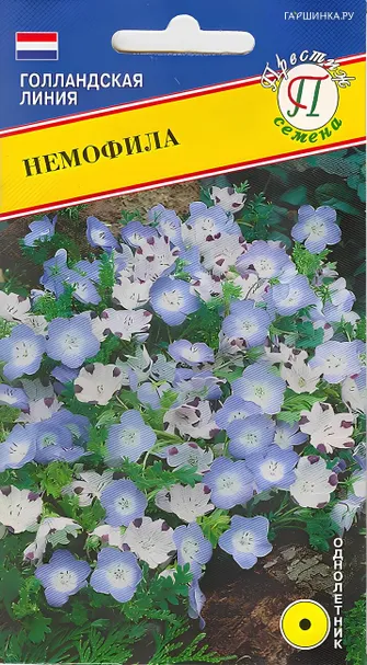 Немофила (РС-1) 10 шт, Семена Престиж