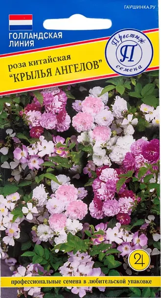 Роза Крылья Ангелов (РС-1) китайская 10 шт, Семена Престиж