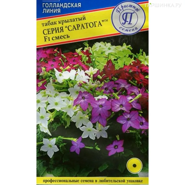 Табак Саратога смесь F1 крылатый 5 шт, Семена Престиж