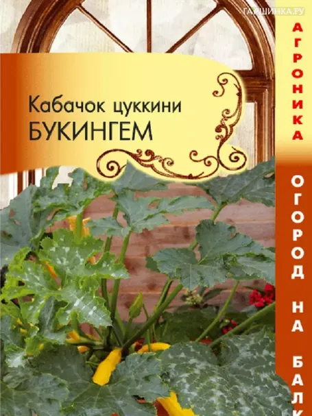 Кабачок Букингем F1 (Огород на балконе!) 3 шт, Плазменные семена