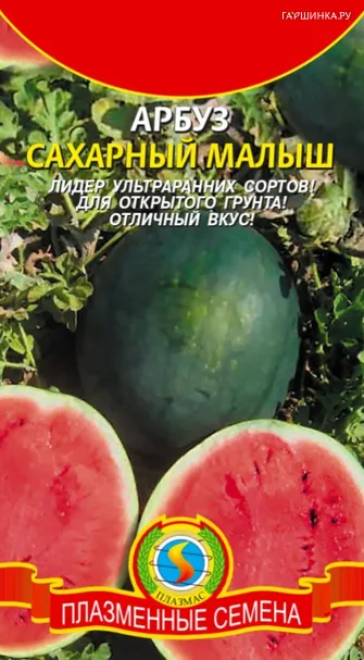 Арбуз Сахарный малыш 1 г, Плазменные семена