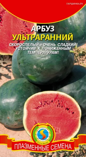 Арбуз Ультраранний 1 г, Плазменные семена