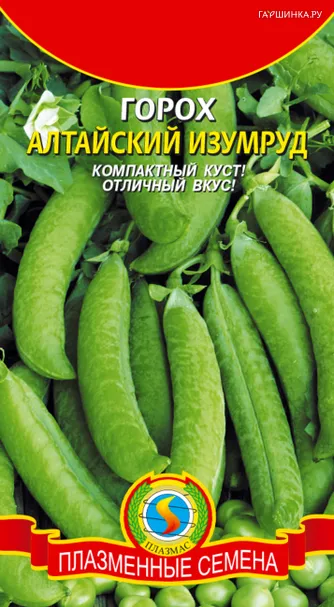 Горох Алтайский Изумруд 7 г, Плазменные семена