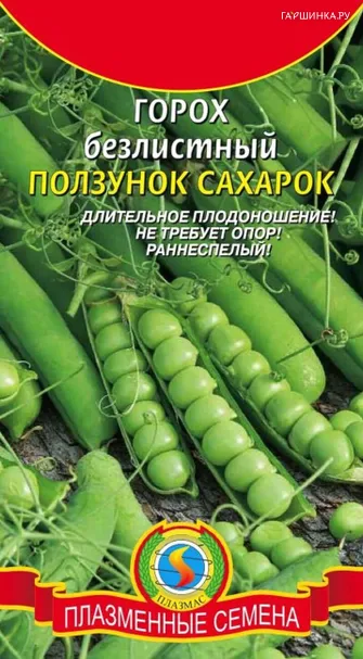 Горох Ползунок-сахарок безлистный 5 г, Плазменные семена