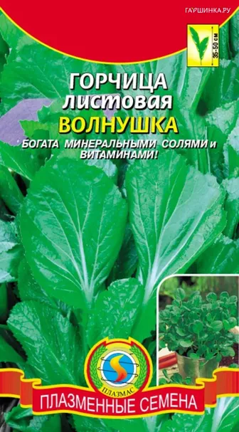 Горчица Волнушка листовая 1 г, Плазменные семена