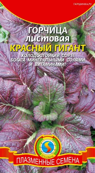 Горчица Красный Гигант листовая  0,5 г, Плазменные семена