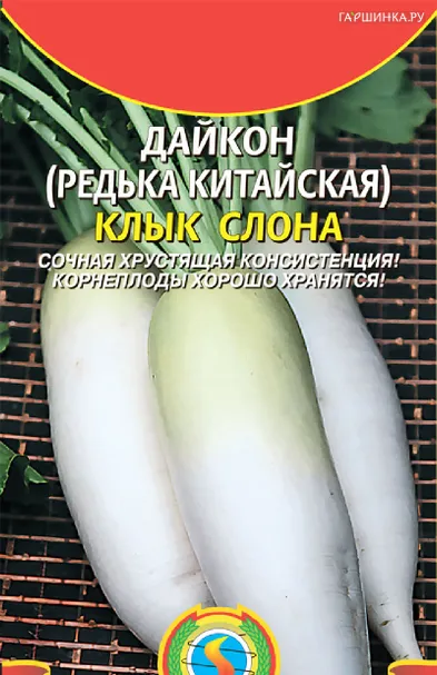 Дайкон (Редька китайская) Клык слона 1 г, Плазменные семена