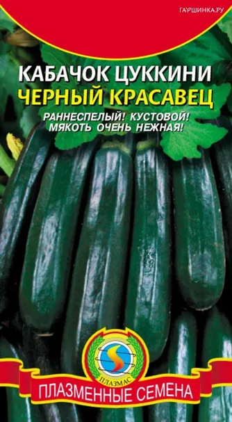 Кабачок (Цуккини) Черный красавец 10 шт, Плазменные семена