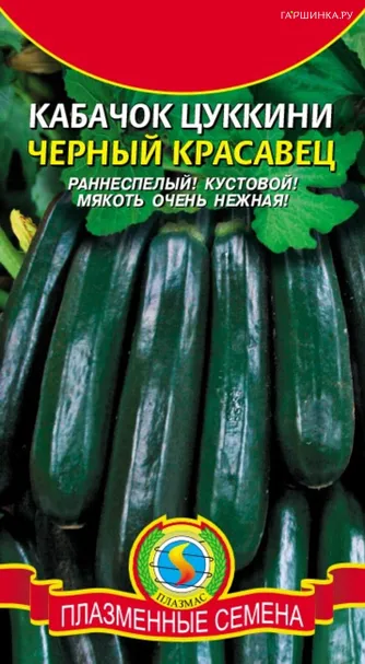 Кабачок (Цуккини) Черный красавец 10 шт, Плазменные семена