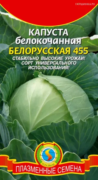 Капуста Белорусская 455 белокочанная 0,5 г, Плазменные семена